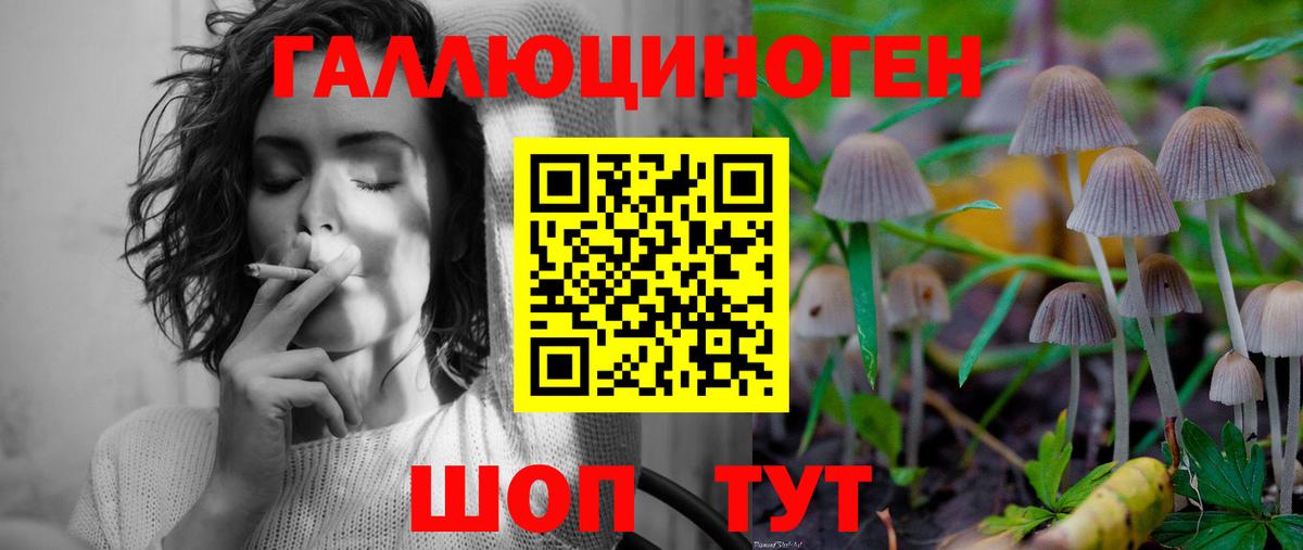 Белореченск  Псилоцибиновые грибы ЛСД  Вход с VPN 